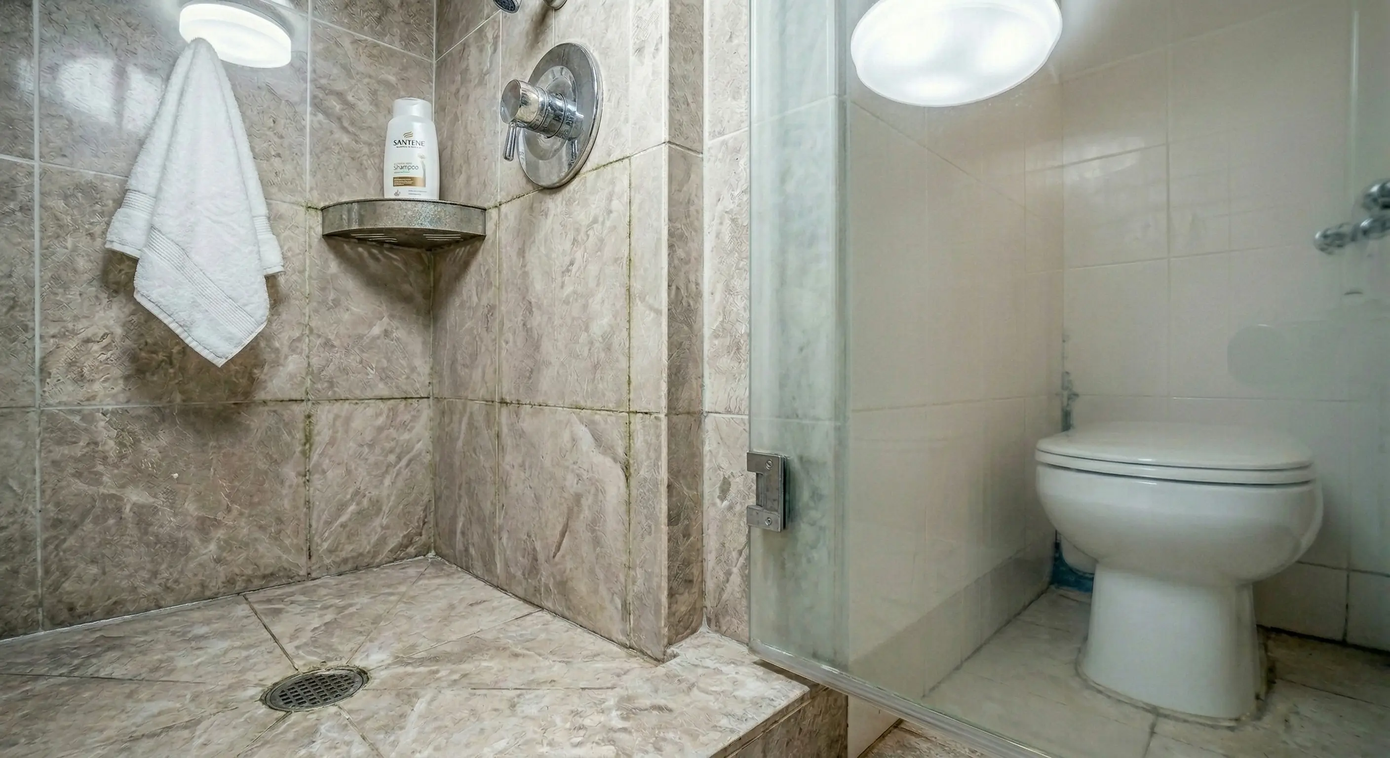 Neglected steam shower with mold and mineral deposit buildup